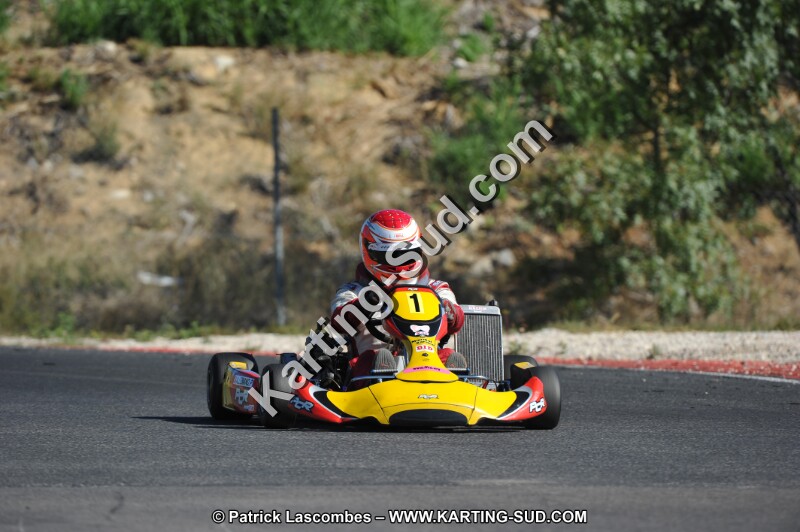 DSC (2558).JPG
